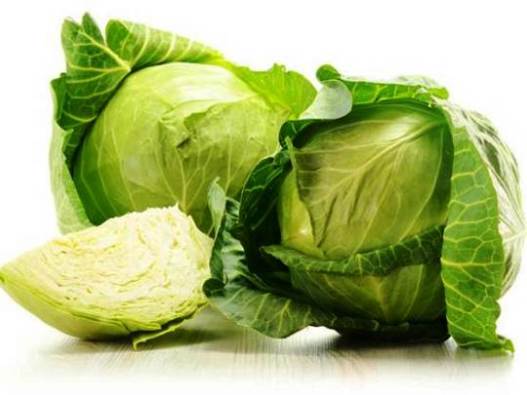 Manfaat-Kubis-Bagi-Kesehatan-Tubuh