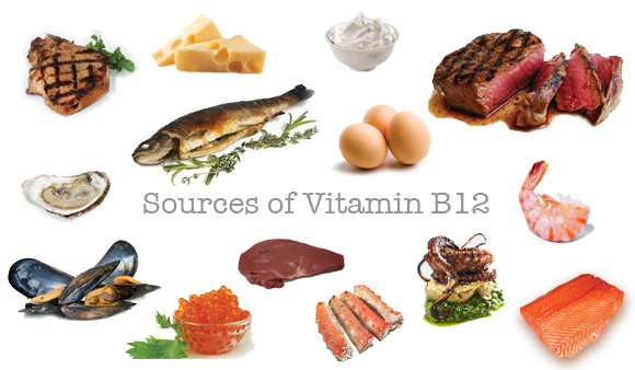 Foods-High-in-Vitamin-B12
